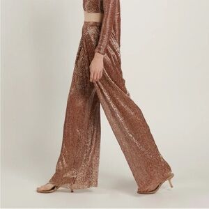 Sabina Musayev Shane Pants in Rust